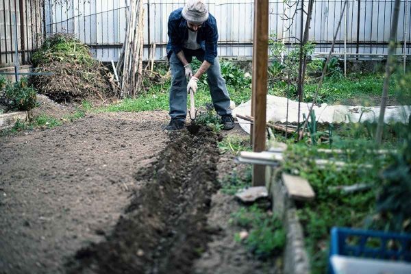 What To Do With The Dirt In Your Garden