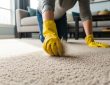 A person using a rubber glove to remove cat hair from a beige carpet in a bright living room