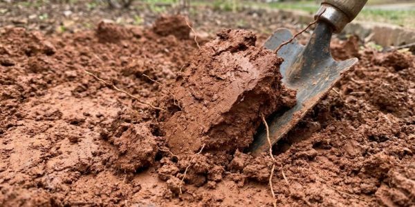 Slow release fertilizer applied to Charlotte NC lawn for healthy growth